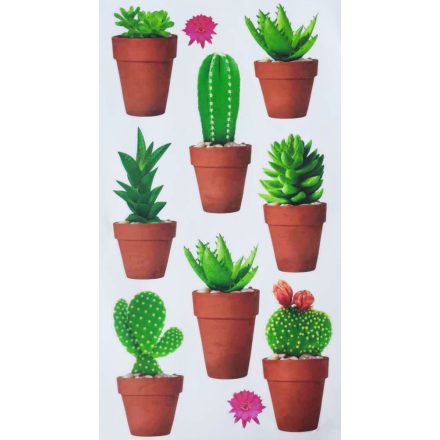 Kaktuszok, ablakmatrica