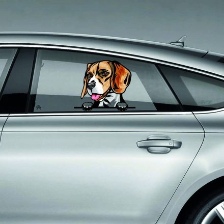 Beagle rajzos autómatrica