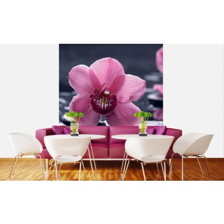 Orchidea lávaköveken, poszter tapéta 225*250 cm