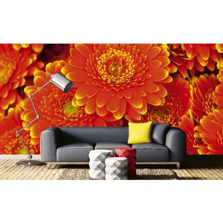 Narancssárga virágok, poszter tapéta 375*250 cm