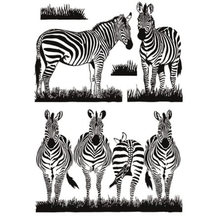 Hat ácsorgó zebra, falmatrica